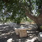 Masseria Palmo