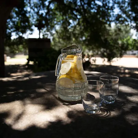 Masseria Palmo בית חווה פרנקווילה פונטנה