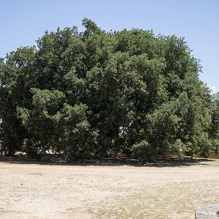 Holiday home Masseria Palmo Francavilla Fontana