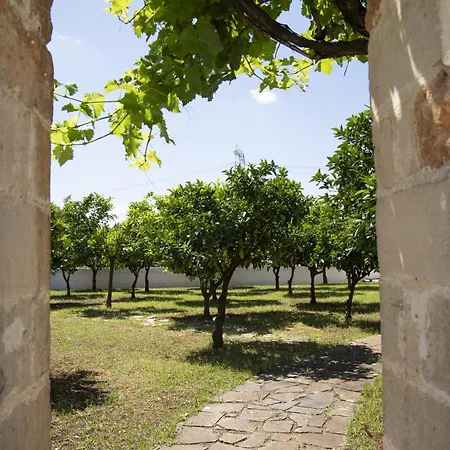 Masseria Palmo Holiday home