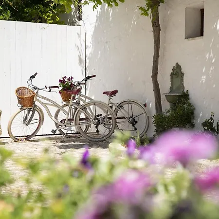 Masseria Palmo Holiday home